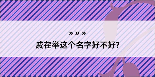 戚荏举这个名字好不好?