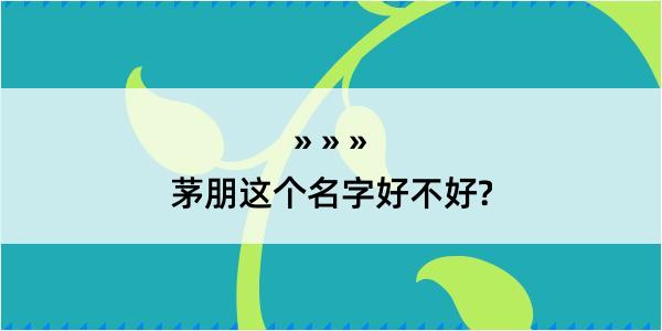 茅朋这个名字好不好?