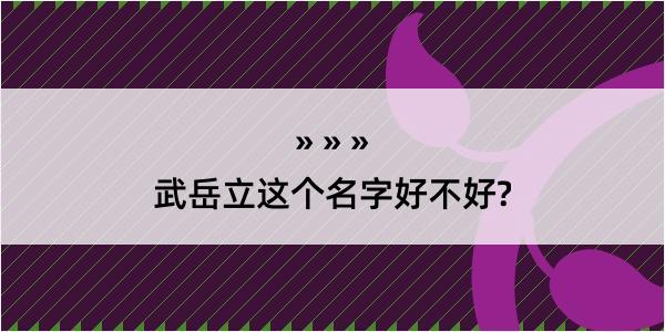 武岳立这个名字好不好?