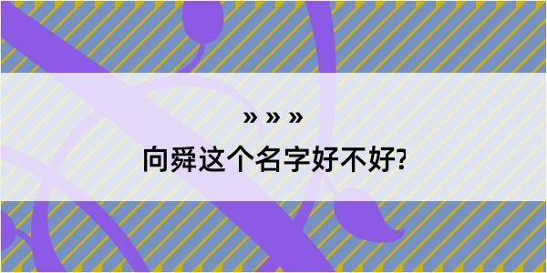 向舜这个名字好不好?