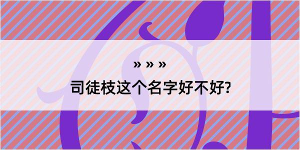 司徒枝这个名字好不好?