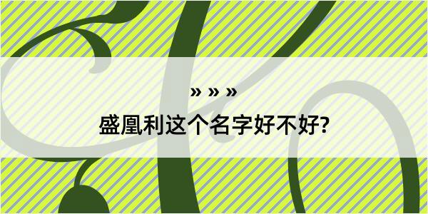 盛凰利这个名字好不好?