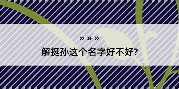 解挺孙这个名字好不好?