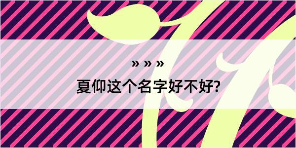 夏仰这个名字好不好?