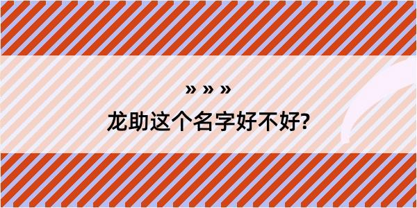 龙助这个名字好不好?