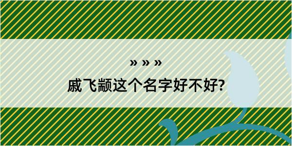 戚飞颛这个名字好不好?