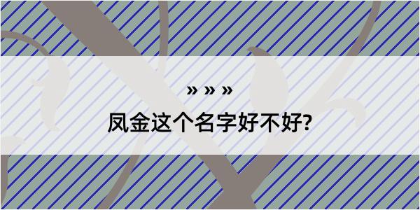 凤金这个名字好不好?