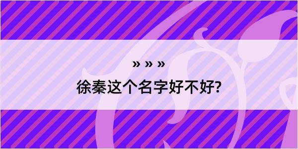 徐秦这个名字好不好?