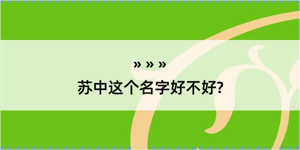 苏中这个名字好不好?