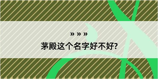 茅殿这个名字好不好?