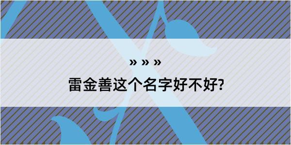 雷金善这个名字好不好?