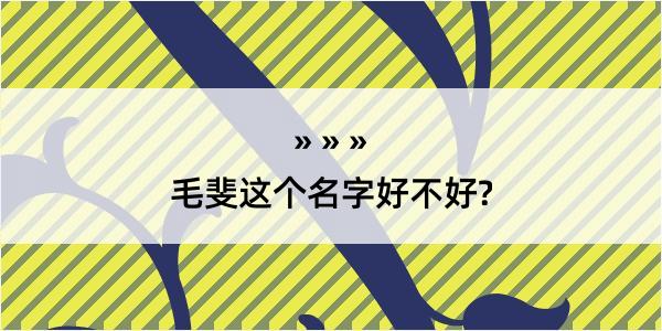 毛斐这个名字好不好?