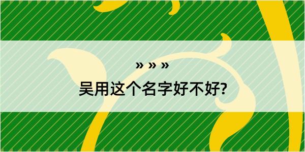 吴用这个名字好不好?