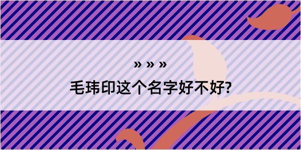 毛玮印这个名字好不好?