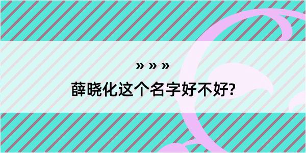 薛晓化这个名字好不好?