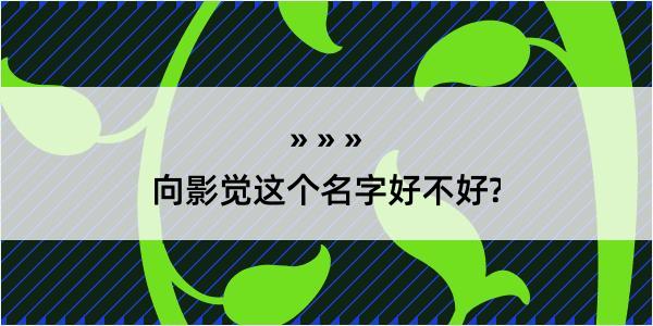 向影觉这个名字好不好?