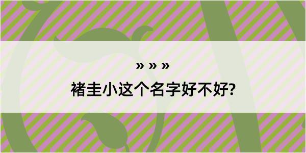 褚圭小这个名字好不好?