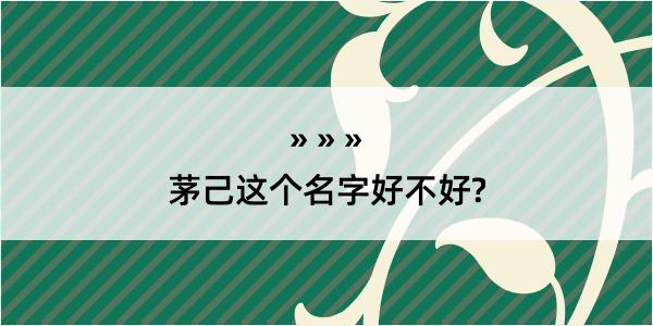 茅己这个名字好不好?