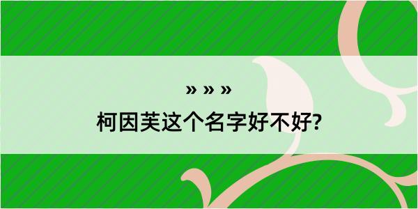 柯因芙这个名字好不好?