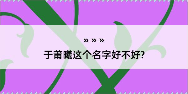 于莆曦这个名字好不好?