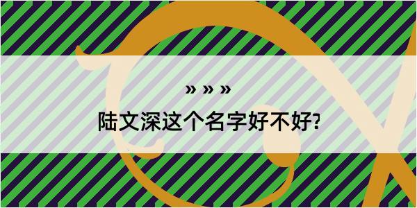 陆文深这个名字好不好?