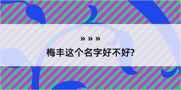 梅丰这个名字好不好?