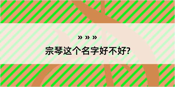 宗琴这个名字好不好?