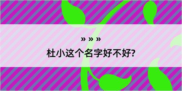 杜小这个名字好不好?