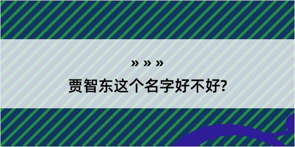 贾智东这个名字好不好?