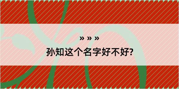 孙知这个名字好不好?