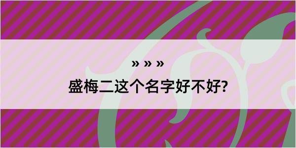 盛梅二这个名字好不好?