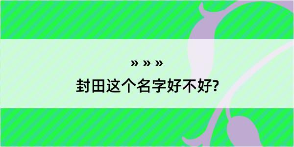 封田这个名字好不好?