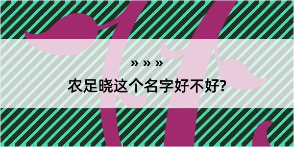 农足晓这个名字好不好?