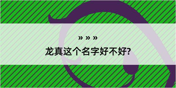 龙真这个名字好不好?