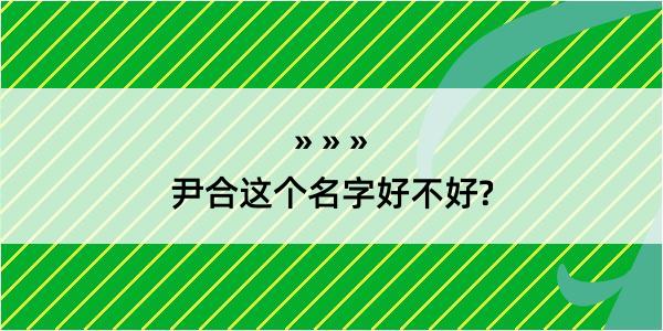 尹合这个名字好不好?