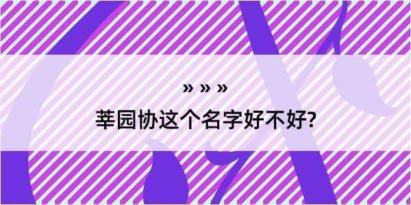 莘园协这个名字好不好?