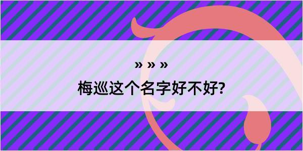 梅巡这个名字好不好?