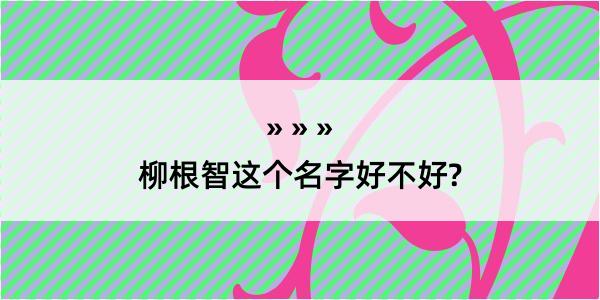 柳根智这个名字好不好?