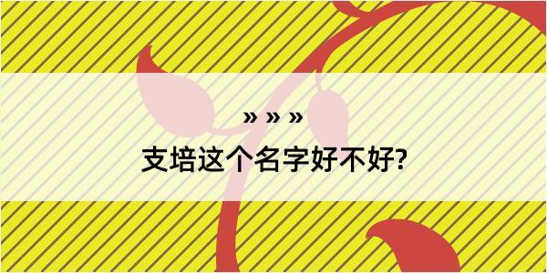 支培这个名字好不好?