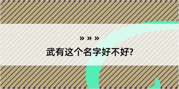 武有这个名字好不好?