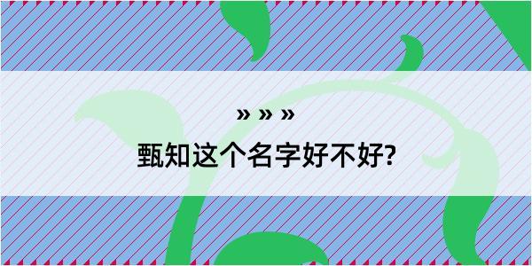 甄知这个名字好不好?