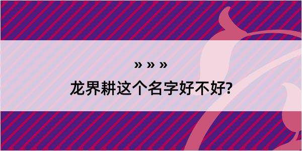 龙界耕这个名字好不好?