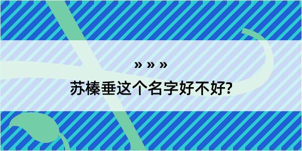 苏榛垂这个名字好不好?