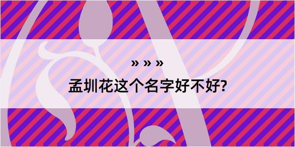 孟圳花这个名字好不好?