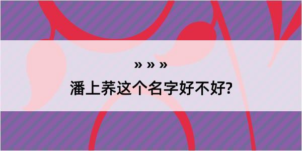 潘上荞这个名字好不好?