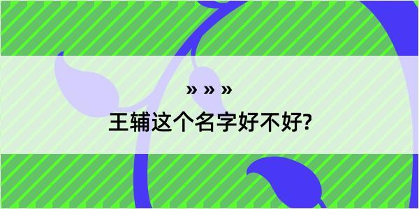 王辅这个名字好不好?