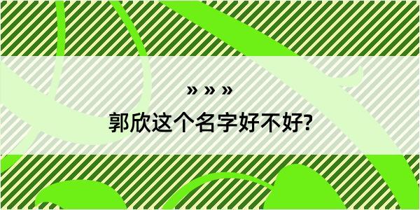 郭欣这个名字好不好?