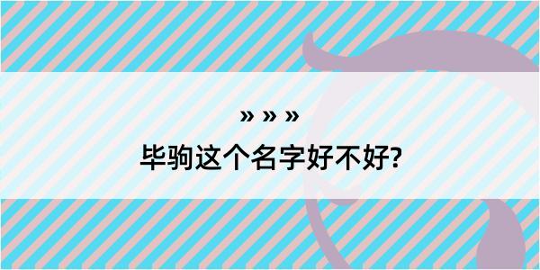 毕驹这个名字好不好?