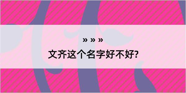 文齐这个名字好不好?