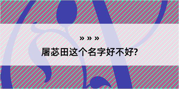 屠苾田这个名字好不好?